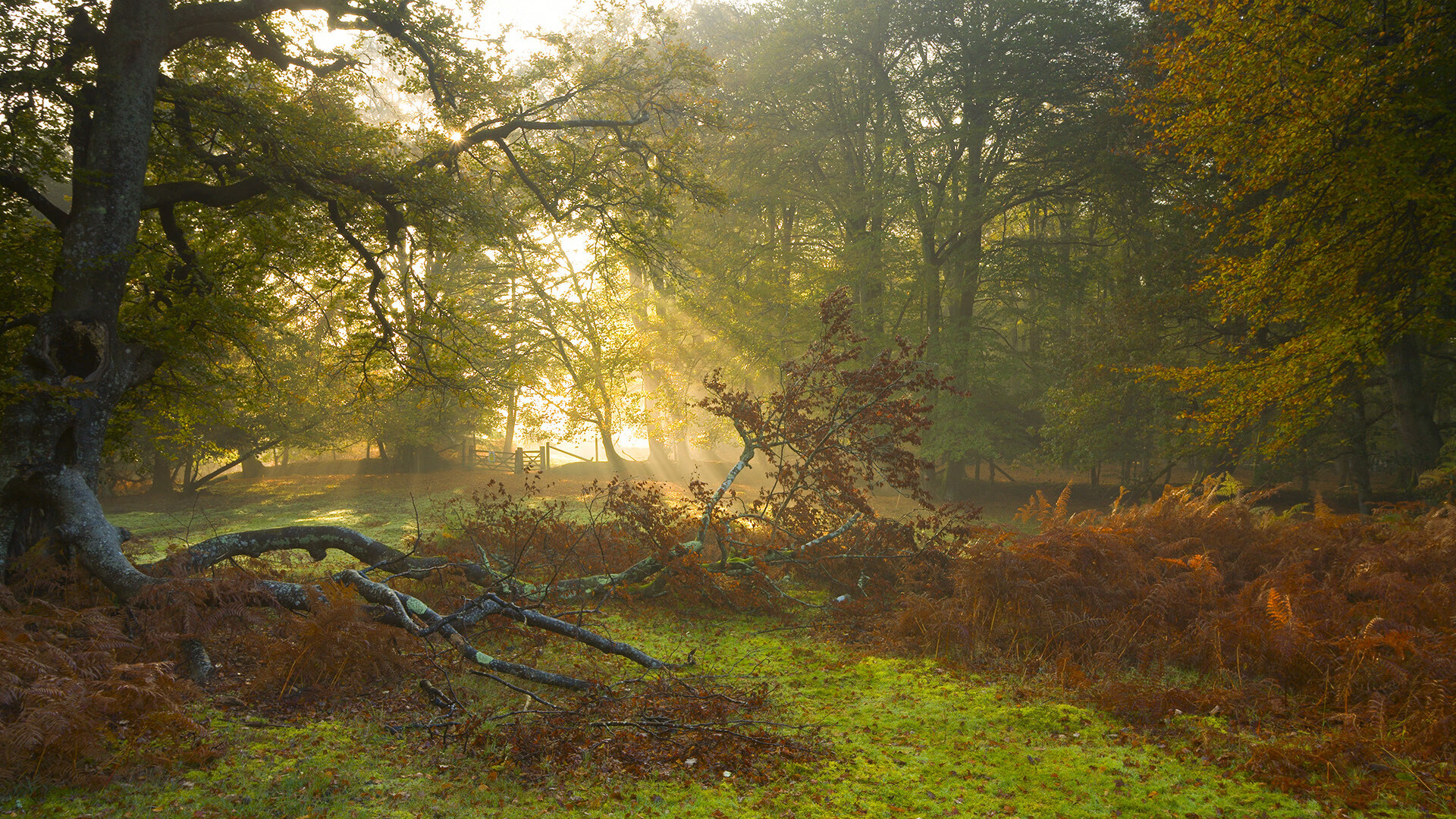 跨界风暴,罗马一波带走拉齐奥,伊萨克在NBA总决赛上演传奇接管