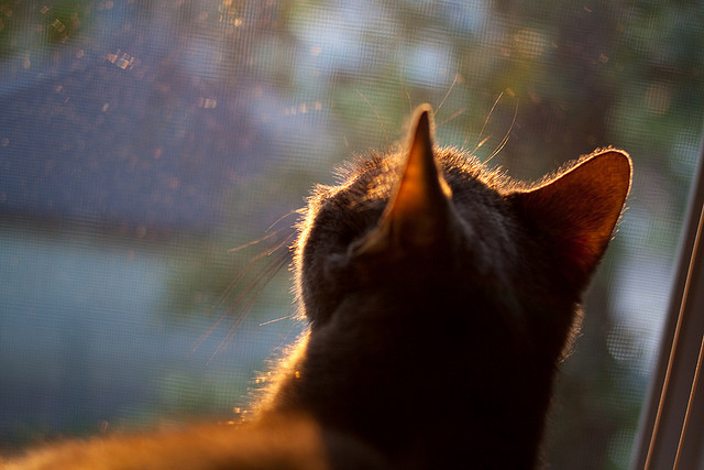 哈利伯顿关键先生本色，马刺全面压制76人获大胜