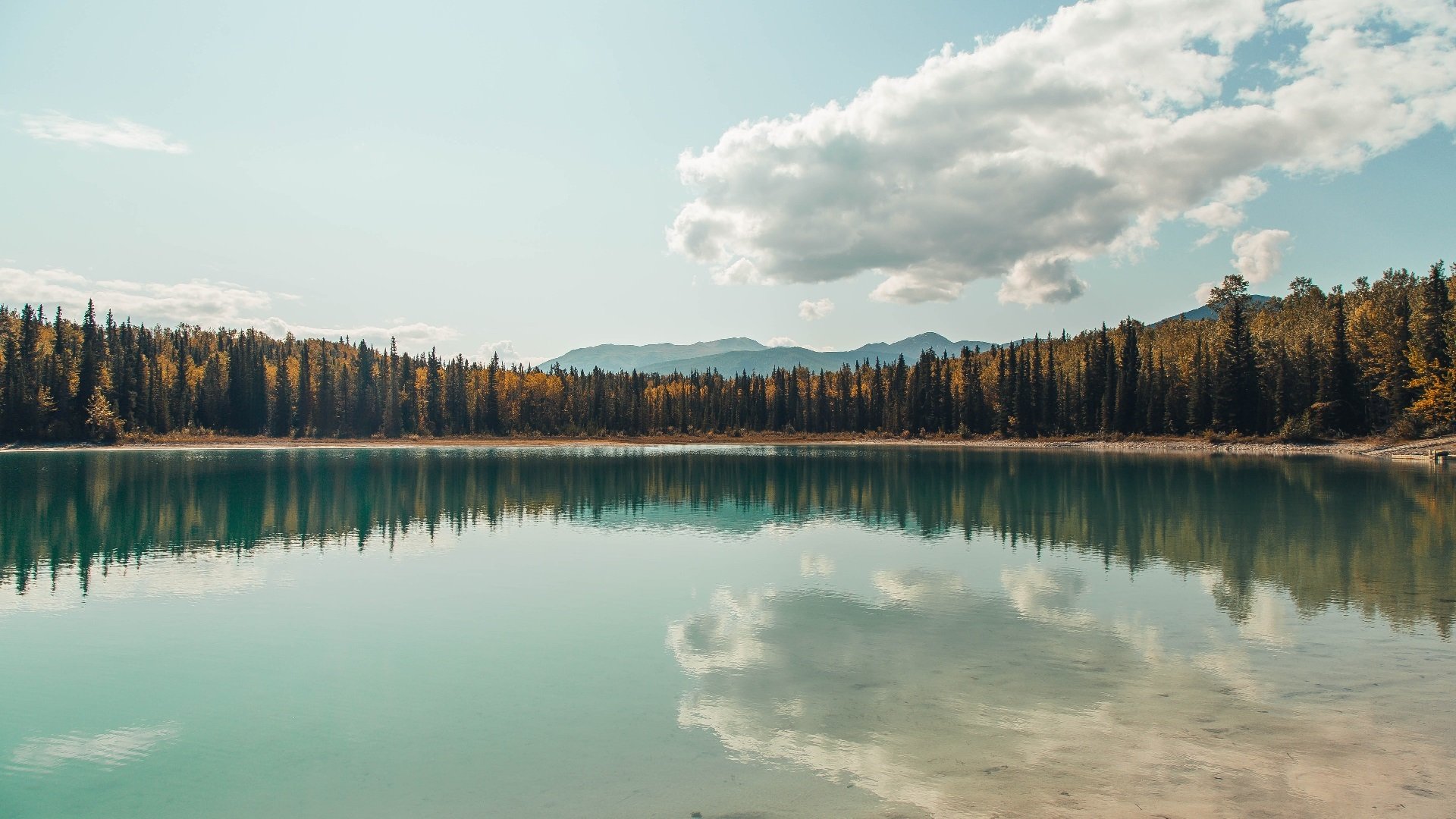 命运齿轮,当孔德一脚踢转威尔士与塞内加尔的足球史