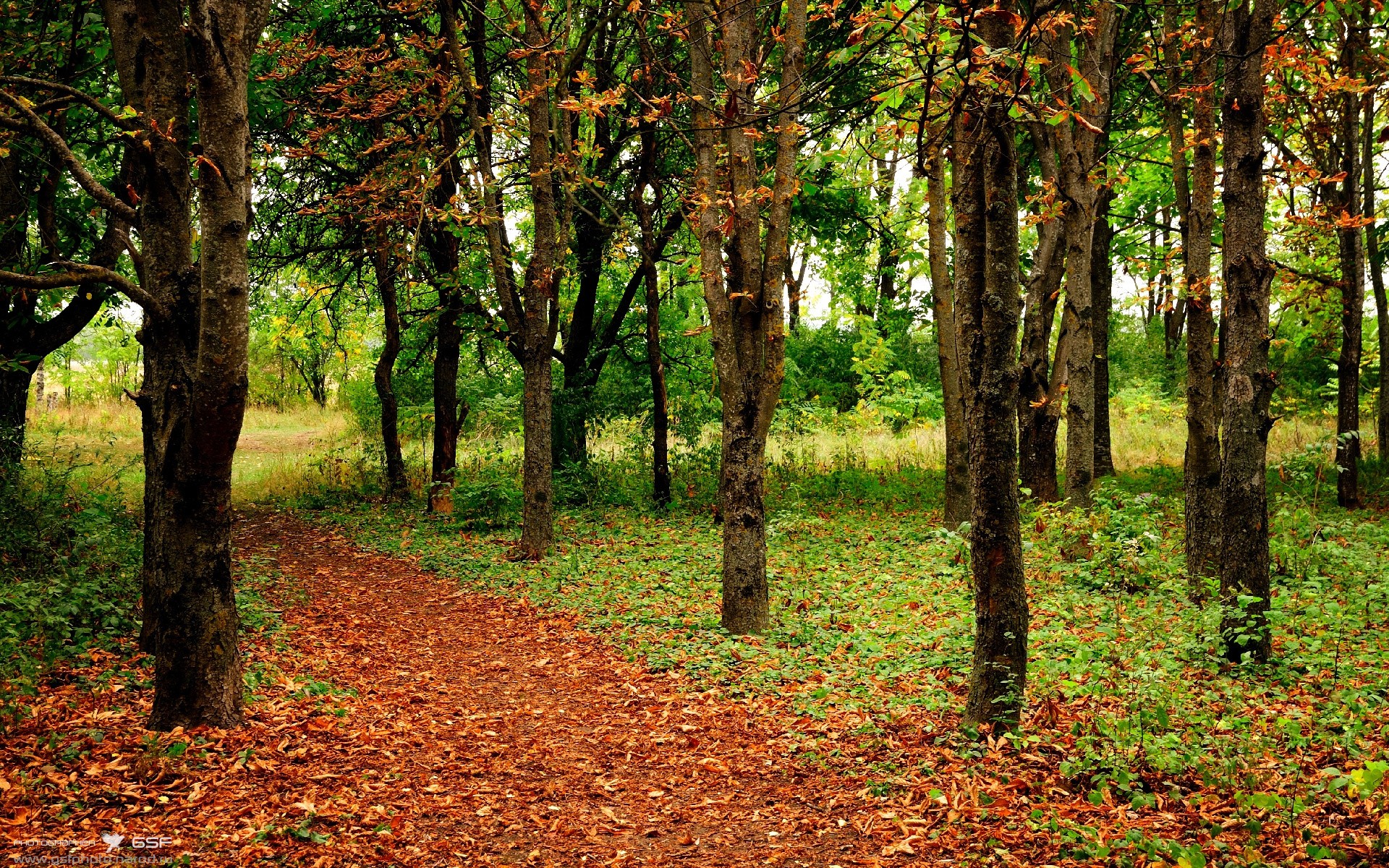 一肩挑起的胜利，霍勒迪用教科书防守锁定欧冠决赛门票