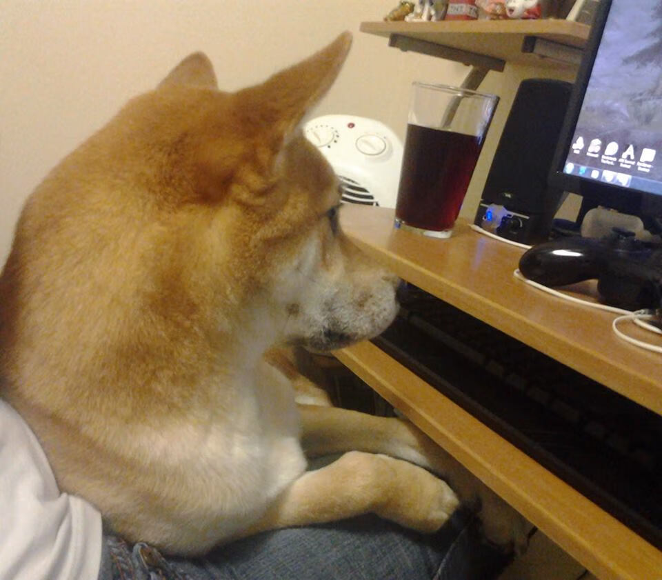 烈火烹油!热火全员皆兵压制爵士,文班亚马无解表现诠释何为未来