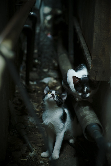 手术刀遇上手术台，当莱比锡红牛的快打旋风，撞上富安健洋这块止血钳
