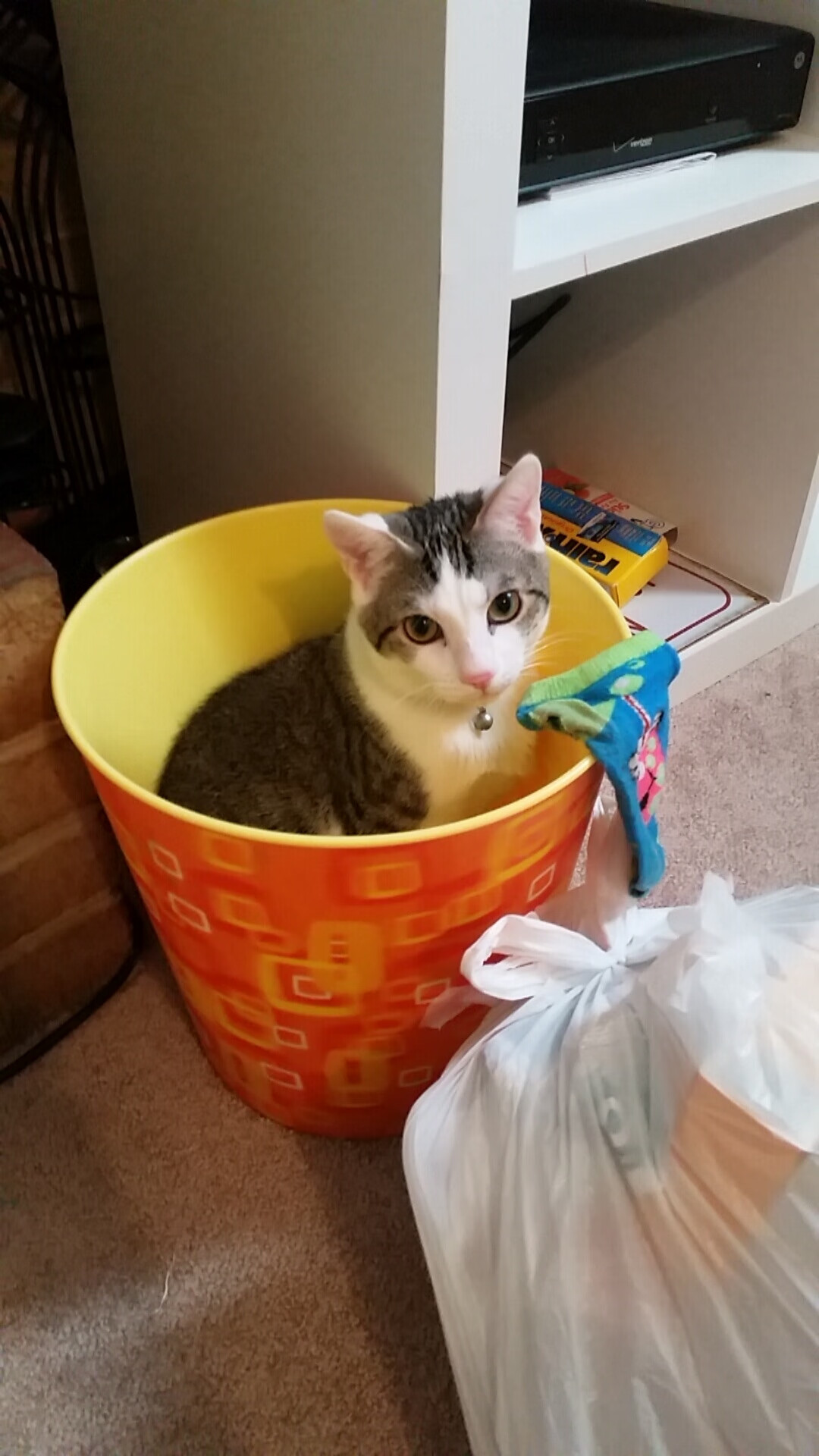 绿茵上的新轴心,小组赛末轮卡塔尔战术铁幕,如何锁死安哥拉觉醒的獠牙