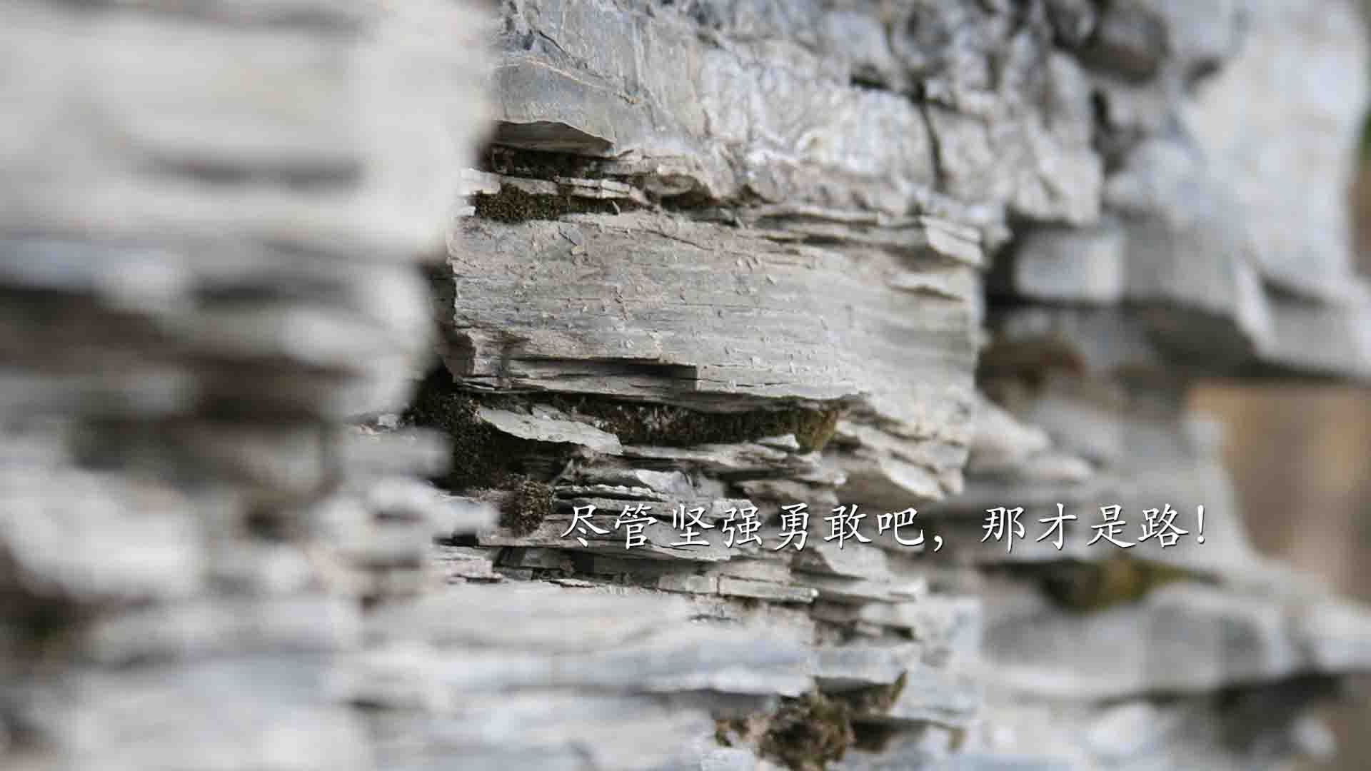 如果没有伤病,德布劳内与末节哲学的终极悖论