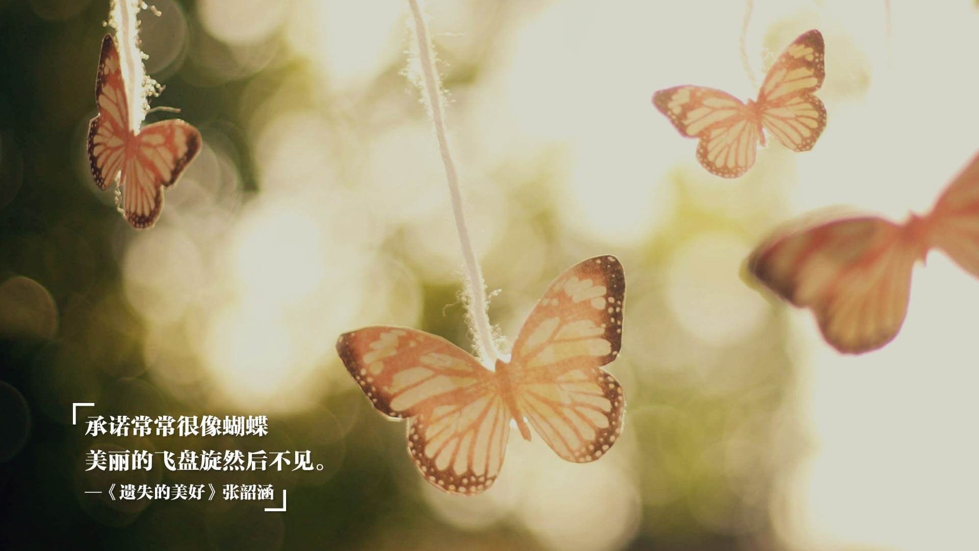 欧冠奇迹夜，黄蜂最后时刻的致命一击，公牛梦碎伊斯坦布尔