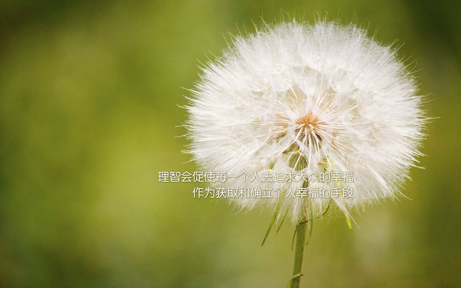 中场大师的加冕礼，布罗佐维奇如何用钢铁大脑导演波兰对摩洛哥的闪电横扫